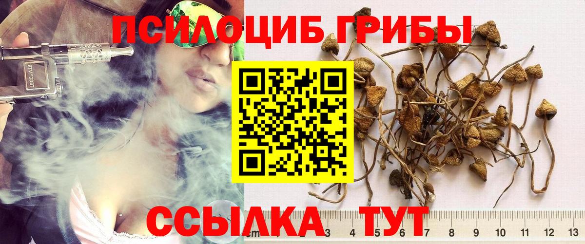 Галлюциногенные грибы MAGIC MUSHROOMS  Вход с VPN  Псилоцибиновые грибы MAGIC MUSHROOMS  Иваново 
